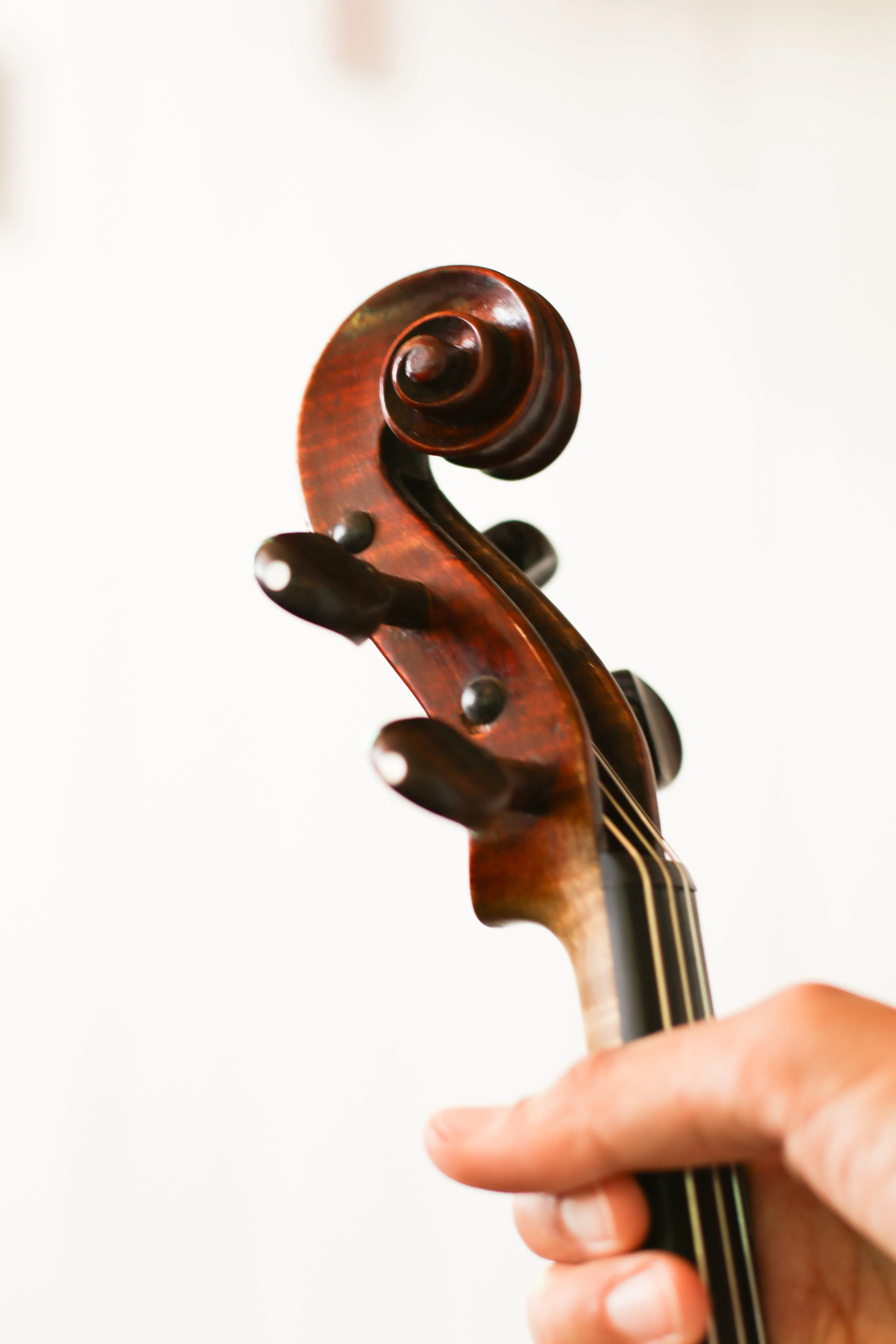 Copy of a Fratelli Mallegari 4/4 Violin 1874