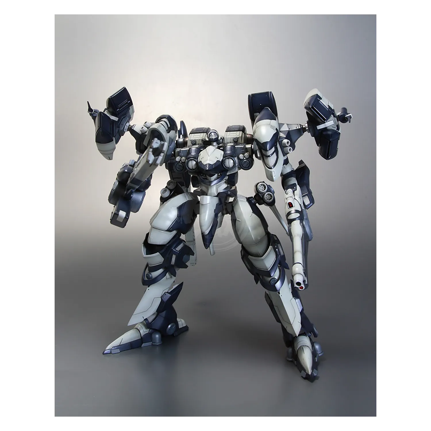 Interior Union Y01-Tellus [Full Package Ver.]