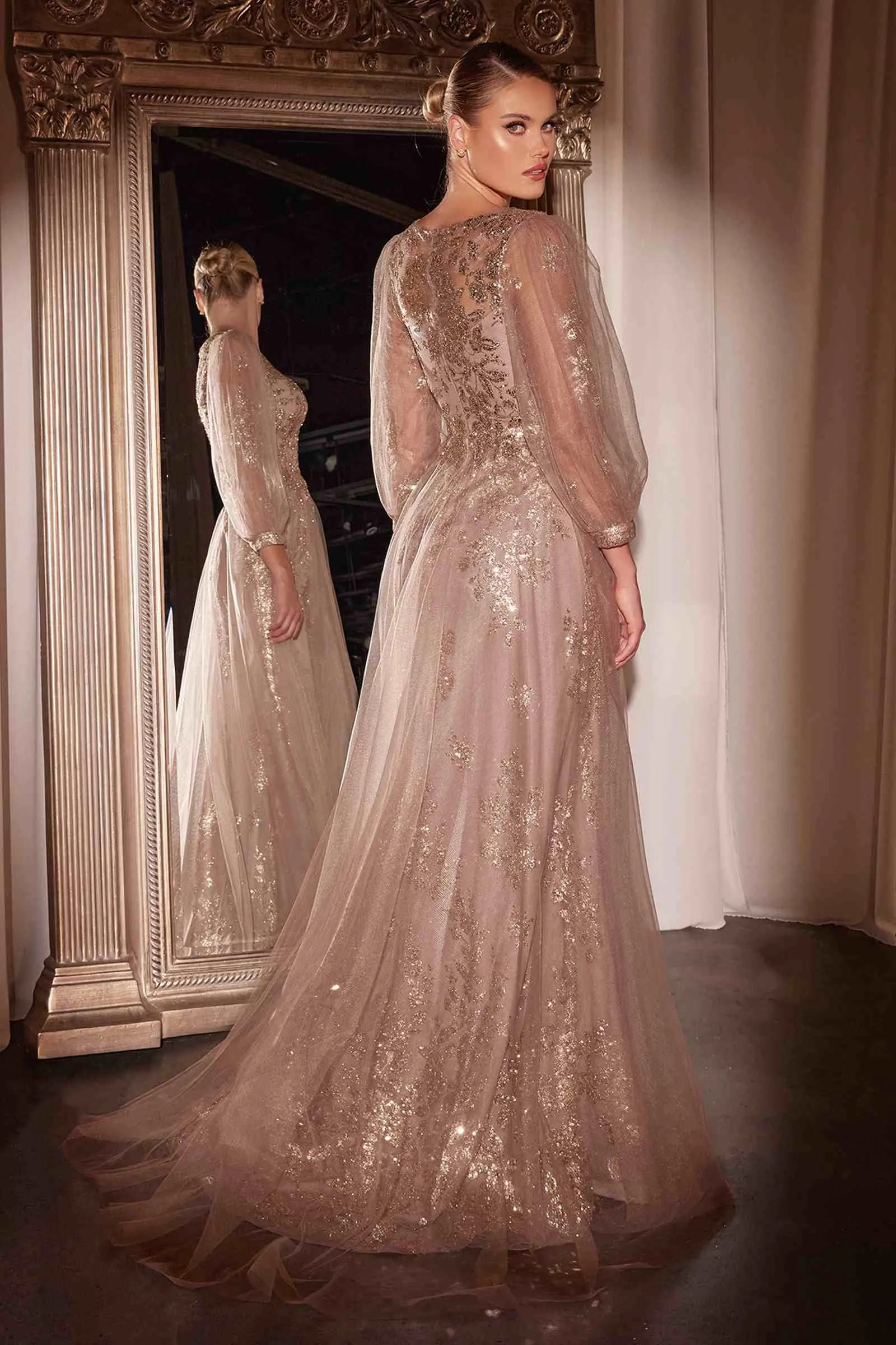 Ladivine CD0102 Dress Long Sleeve Layered Tulle A-Line Gown