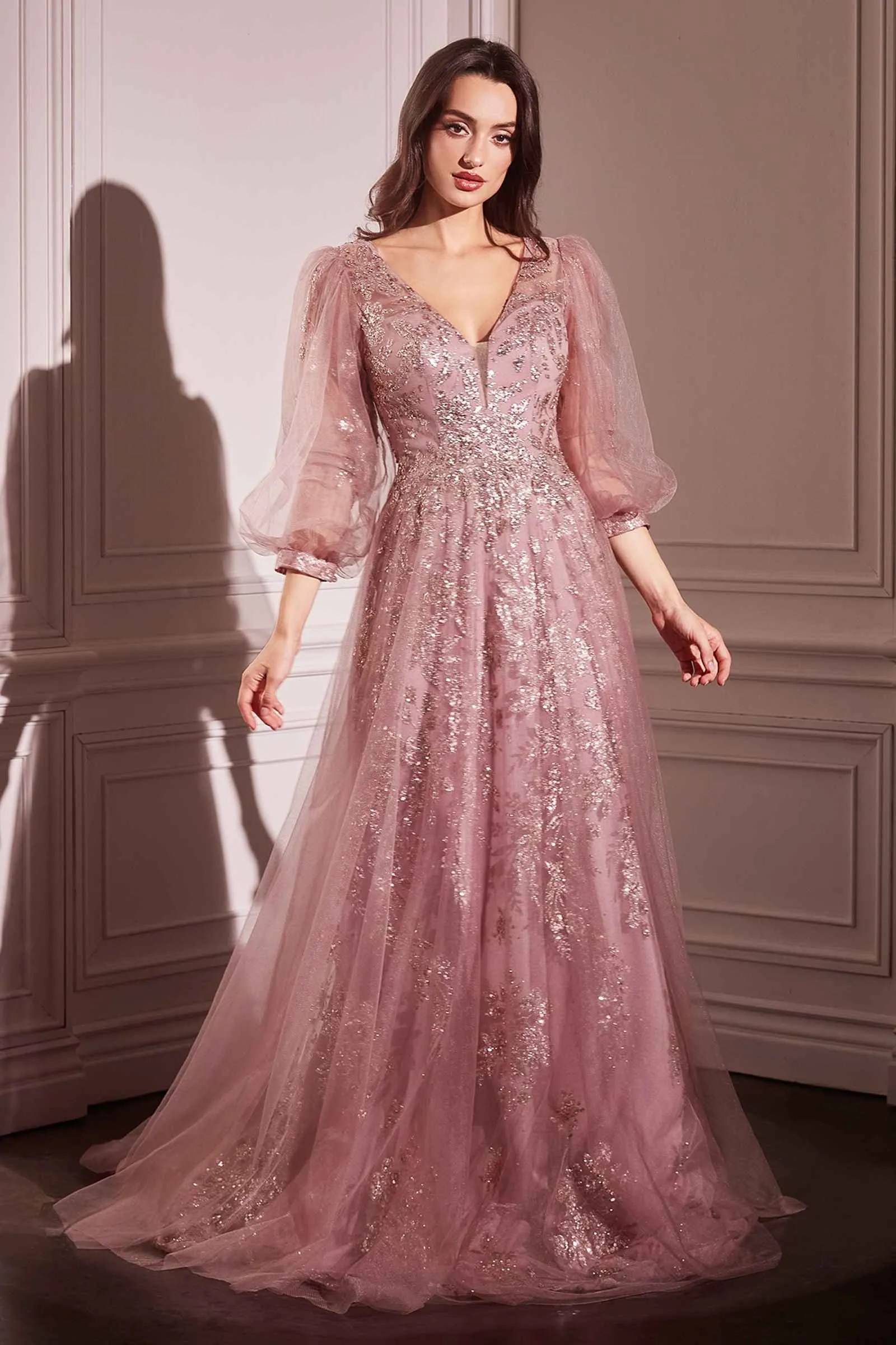Ladivine CD0102 Dress Long Sleeve Layered Tulle A-Line Gown