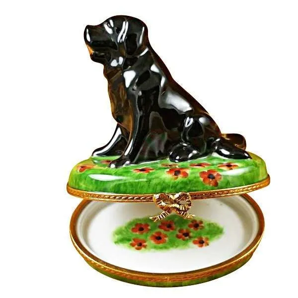 Large Black Lab limoges box