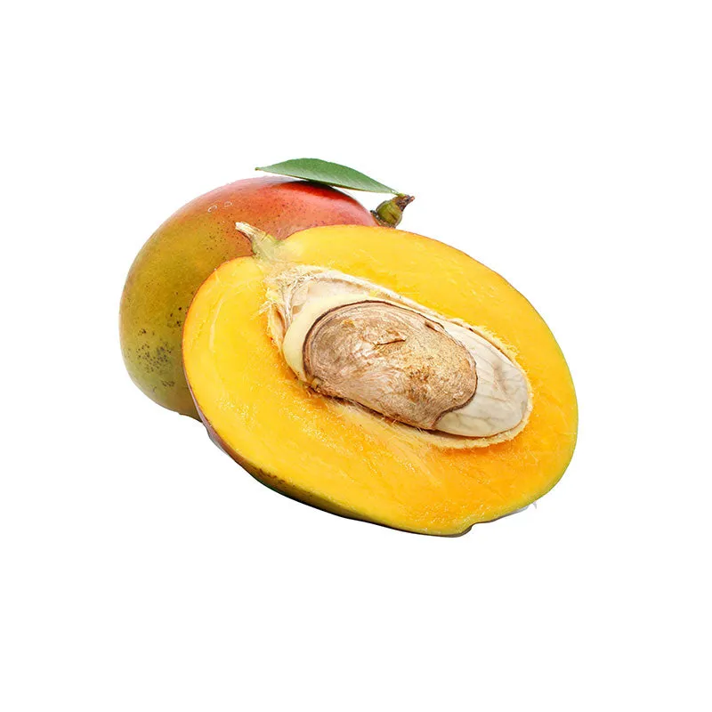 Mango Body Butter kernel pure refined