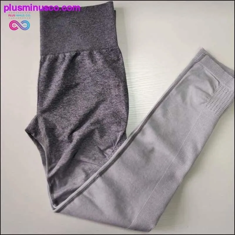 Nepoagym Women Ombre Seamless Leggings In TEAL High Waisted