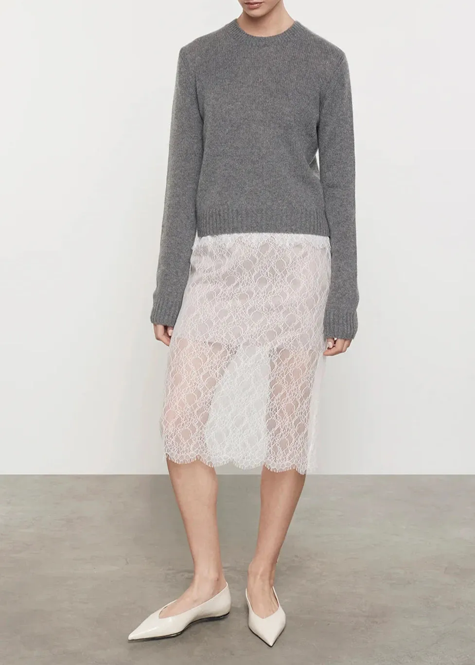 Sheer Lace Slip Skirt