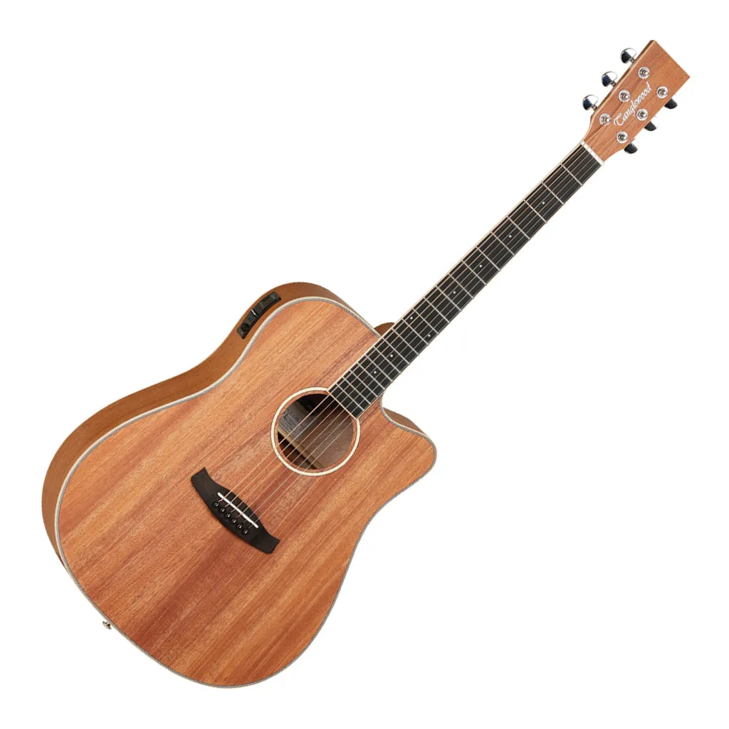 Tanglewood Union Solid Top Dreadnought C/E