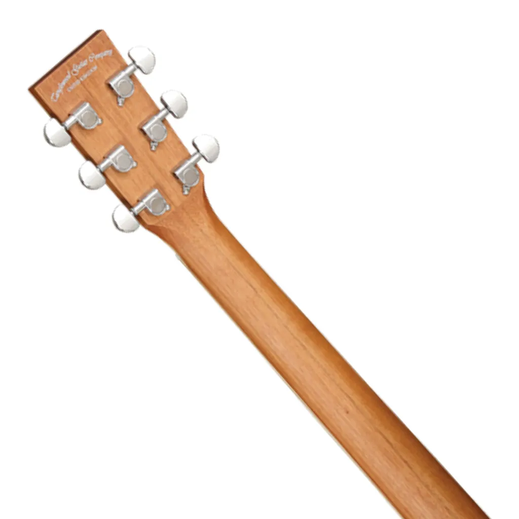 Tanglewood Union Solid Top Dreadnought C/E