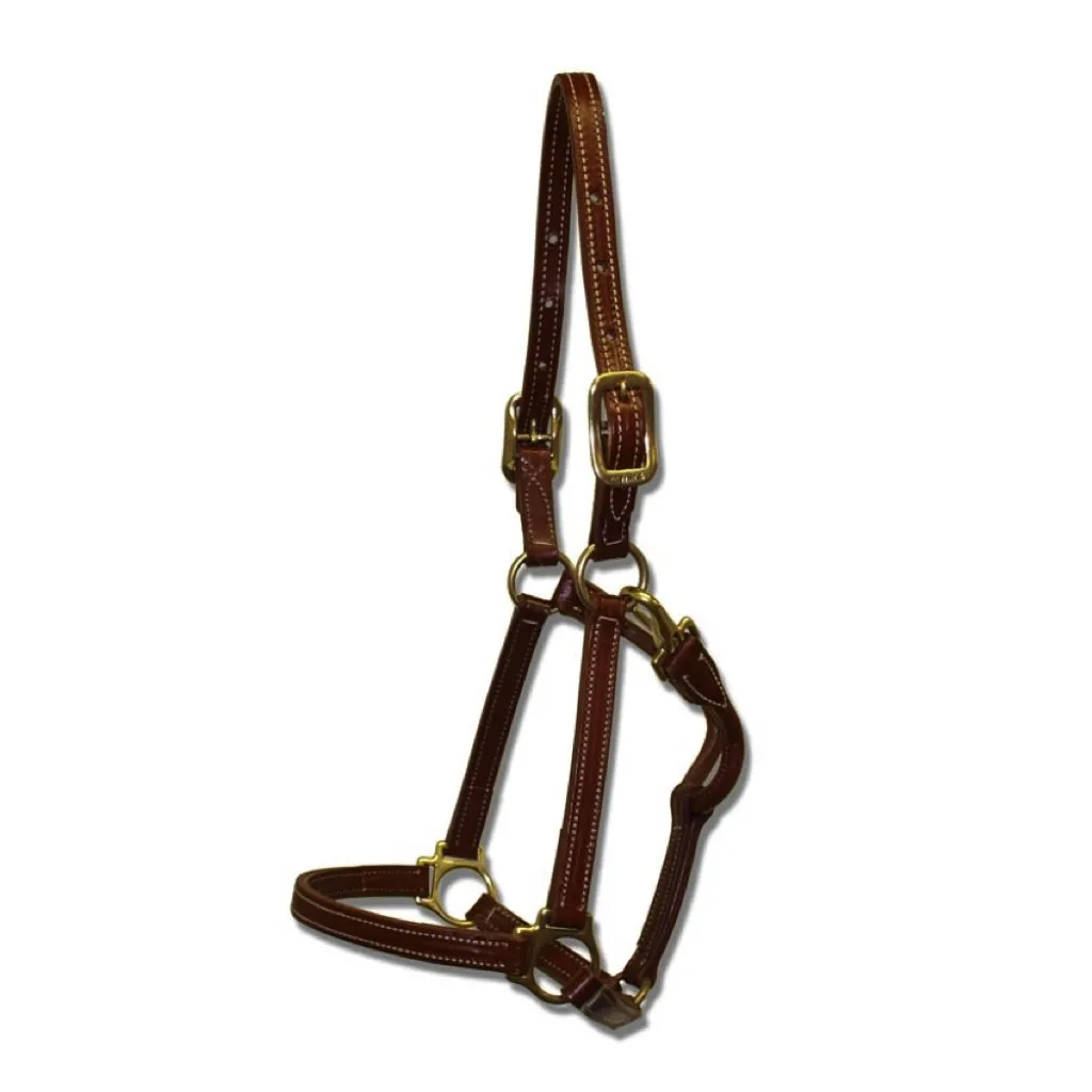 Walsh Showman Halter