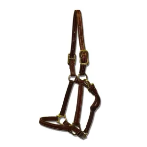 Walsh Showman Halter